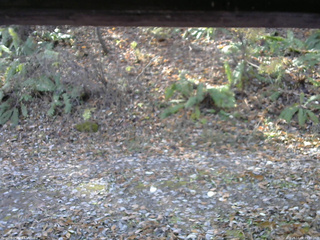 長野県菅平高原 ゆたか山荘 南側 2025/11/08 09:30