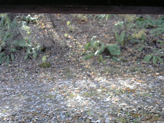 長野県菅平高原 ゆたか山荘 南側 2025/11/08 09:45