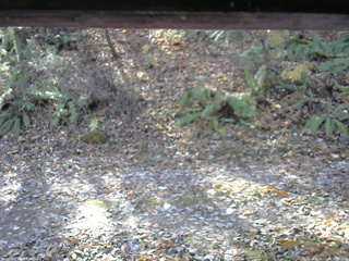 長野県菅平高原 ゆたか山荘 南側 2025/11/08 10:00