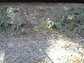 長野県菅平高原 ゆたか山荘 南側 2025/11/08 10:15