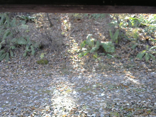 長野県菅平高原 ゆたか山荘 南側 2025/11/08 10:45