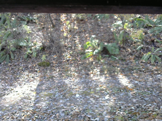 長野県菅平高原 ゆたか山荘 南側 2025/11/08 11:00