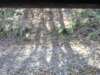 長野県菅平高原 ゆたか山荘 南側 2025/11/08 11:15