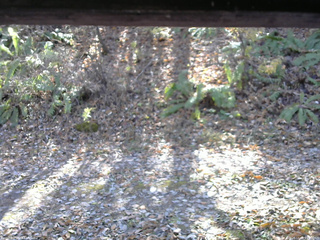 長野県菅平高原 ゆたか山荘 南側 2025/11/08 11:30