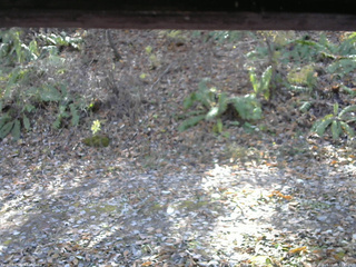 長野県菅平高原 ゆたか山荘 南側 2025/11/08 11:45