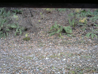 長野県菅平高原 ゆたか山荘 南側 2025/11/08 15:45