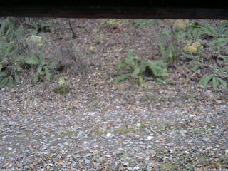 長野県菅平高原 ゆたか山荘 南側 2025/11/08 16:00