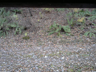 長野県菅平高原 ゆたか山荘 南側 2025/11/08 16:15