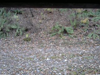 長野県菅平高原 ゆたか山荘 南側 2025/11/08 16:30