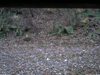 長野県菅平高原 ゆたか山荘 南側 2025/11/08 16:45