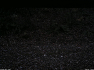 長野県菅平高原 ゆたか山荘 南側 2025/11/08 17:00