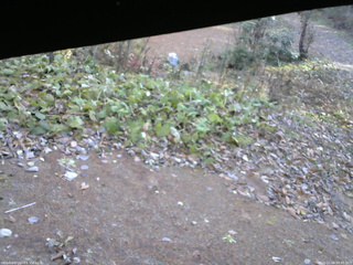 長野県菅平高原 ゆたか山荘 駐車場 2025/11/08 09:45