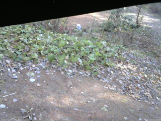 長野県菅平高原 ゆたか山荘 駐車場 2025/11/08 10:15