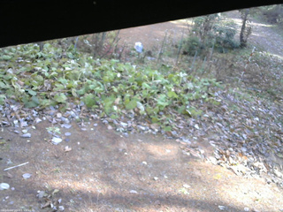 長野県菅平高原 ゆたか山荘 駐車場 2025/11/08 10:30