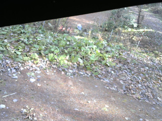 長野県菅平高原 ゆたか山荘 駐車場 2025/11/08 11:15