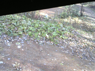 長野県菅平高原 ゆたか山荘 駐車場 2025/11/08 12:00