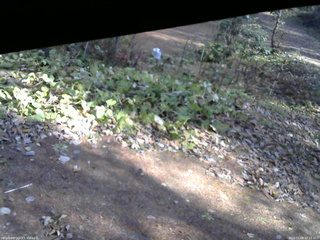 長野県菅平高原 ゆたか山荘 駐車場 2025/11/08 12:15