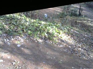 長野県菅平高原 ゆたか山荘 駐車場 2025/11/08 12:30