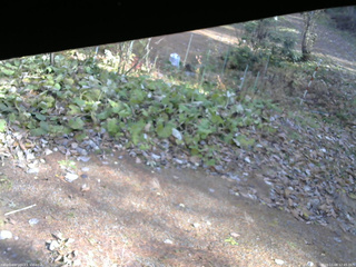 長野県菅平高原 ゆたか山荘 駐車場 2025/11/08 12:45