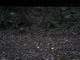 長野県菅平高原 ゆたか山荘 南側 2025/11/09 06:15