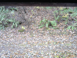 長野県菅平高原 ゆたか山荘 南側 2025/11/09 09:30