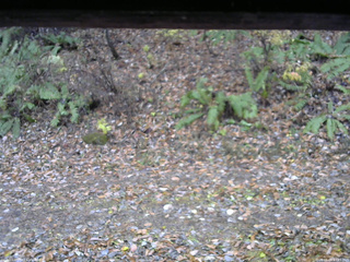 長野県菅平高原 ゆたか山荘 南側 2025/11/09 13:15