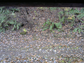 長野県菅平高原 ゆたか山荘 南側 2025/11/09 13:45