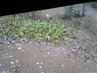 長野県菅平高原 ゆたか山荘 駐車場 2025/11/09 12:15
