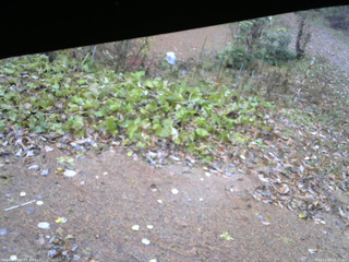 長野県菅平高原 ゆたか山荘 駐車場 2025/11/09 13:15