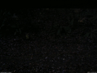 長野県菅平高原 ゆたか山荘 南側 2025/11/10 06:00