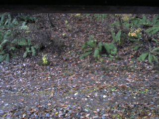 長野県菅平高原 ゆたか山荘 南側 2025/11/10 06:15