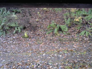 長野県菅平高原 ゆたか山荘 南側 2025/11/10 06:30