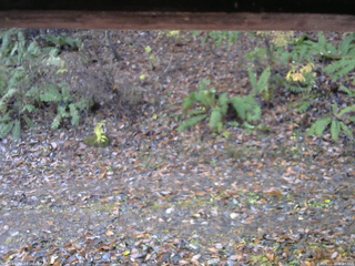 長野県菅平高原 ゆたか山荘 南側 2025/11/10 06:45