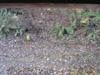 長野県菅平高原 ゆたか山荘 南側 2025/11/10 07:00