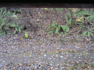 長野県菅平高原 ゆたか山荘 南側 2025/11/10 07:15