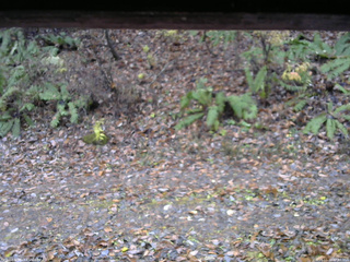 長野県菅平高原 ゆたか山荘 南側 2025/11/10 07:30