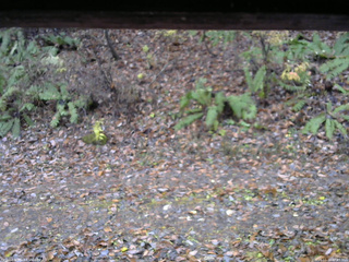 長野県菅平高原 ゆたか山荘 南側 2025/11/10 07:45