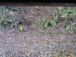 長野県菅平高原 ゆたか山荘 南側 2025/11/10 08:00