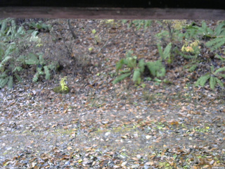 長野県菅平高原 ゆたか山荘 南側 2025/11/10 08:15