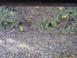 長野県菅平高原 ゆたか山荘 南側 2025/11/10 08:30