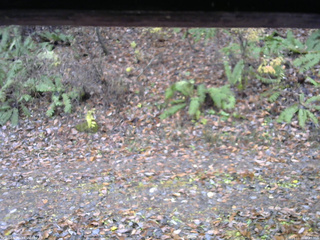 長野県菅平高原 ゆたか山荘 南側 2025/11/10 08:45