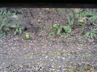 長野県菅平高原 ゆたか山荘 南側 2025/11/10 09:00