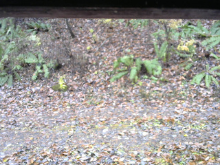 長野県菅平高原 ゆたか山荘 南側 2025/11/10 09:15