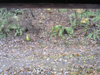 長野県菅平高原 ゆたか山荘 南側 2025/11/10 09:30