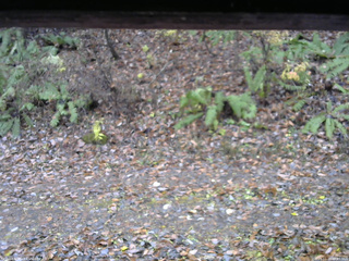 長野県菅平高原 ゆたか山荘 南側 2025/11/10 09:45