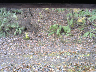 長野県菅平高原 ゆたか山荘 南側 2025/11/10 10:00