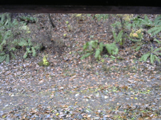 長野県菅平高原 ゆたか山荘 南側 2025/11/10 10:15