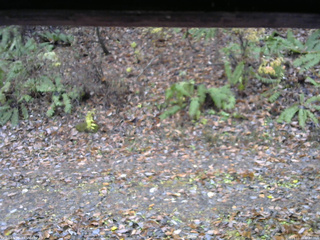 長野県菅平高原 ゆたか山荘 南側 2025/11/10 10:30