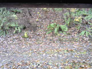 長野県菅平高原 ゆたか山荘 南側 2025/11/10 10:45