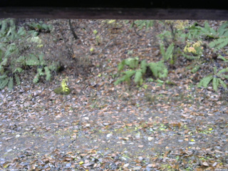長野県菅平高原 ゆたか山荘 南側 2025/11/10 11:00